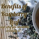 health-benefits-of-red-raspberry-leaf-and-why-you-should-be-drinking-it